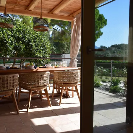 Apeiron - Olive Forest Pesádha